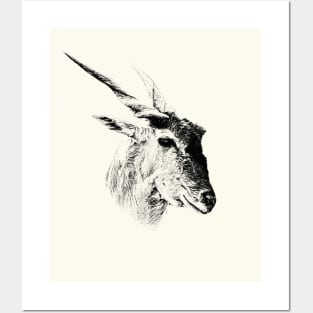 Eland antelope Posters and Art